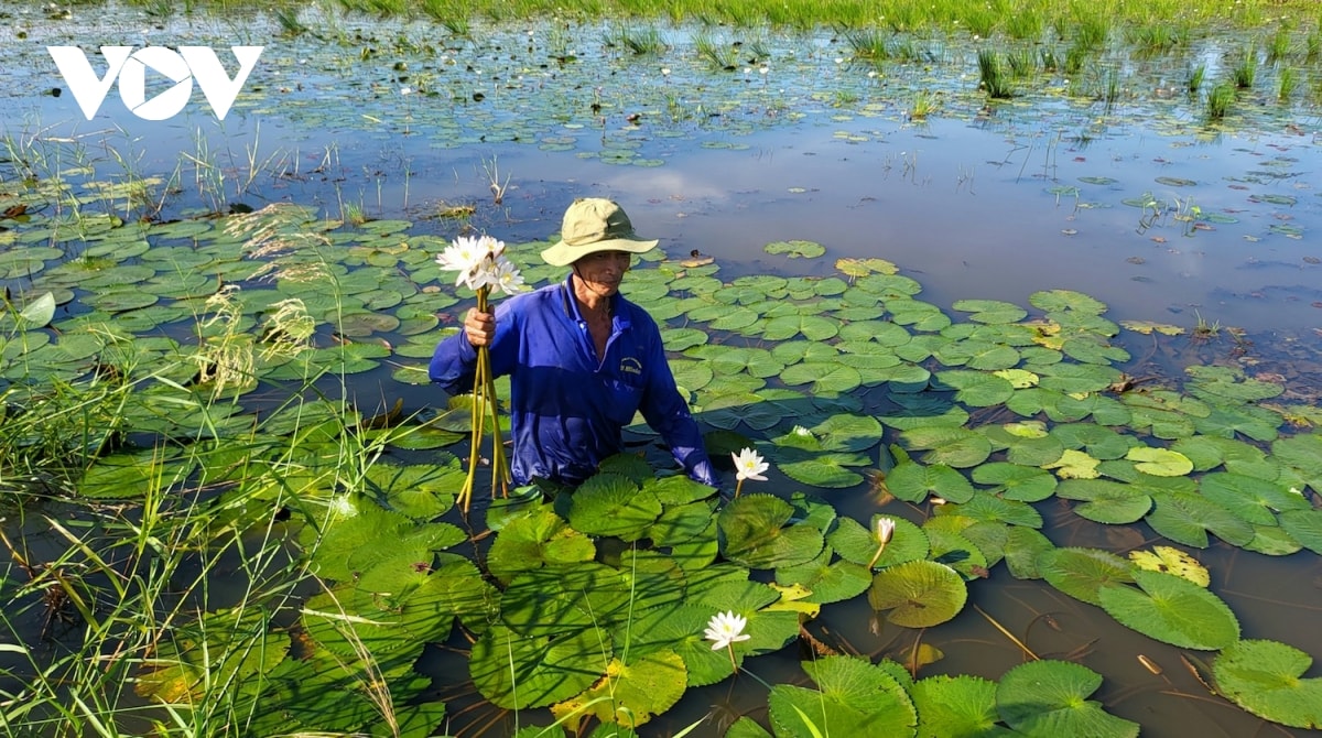 muu sinh cuoi mua nuoc noi hinh anh 16