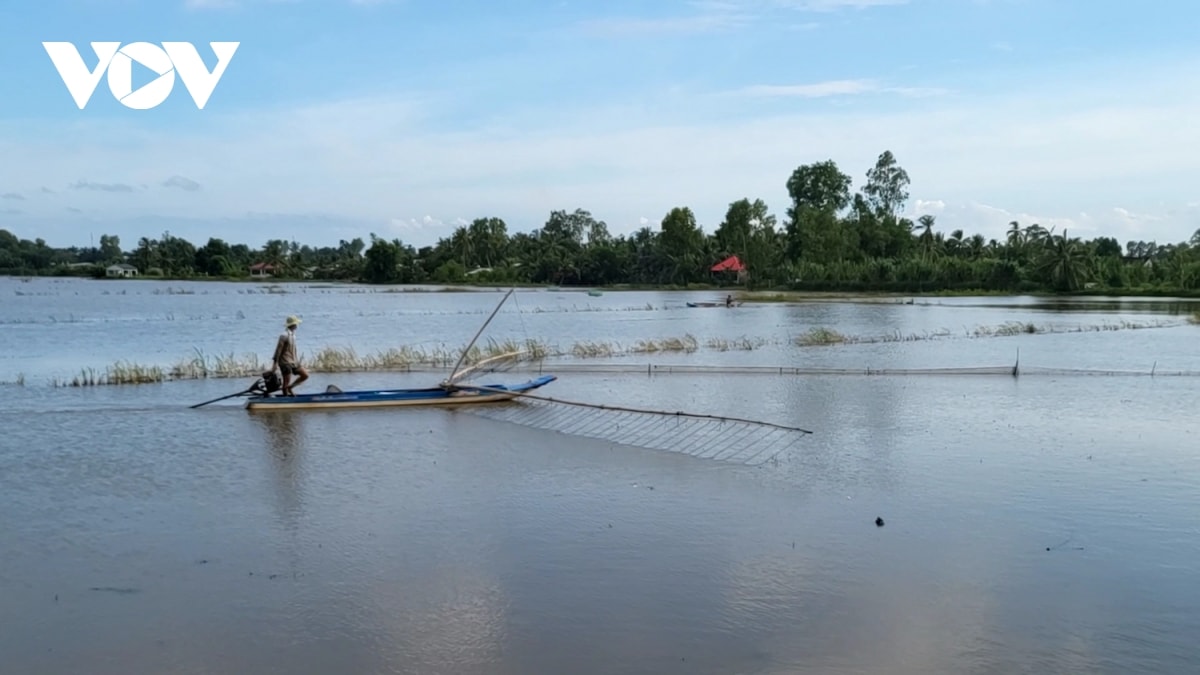 muu sinh cuoi mua nuoc noi hinh anh 6