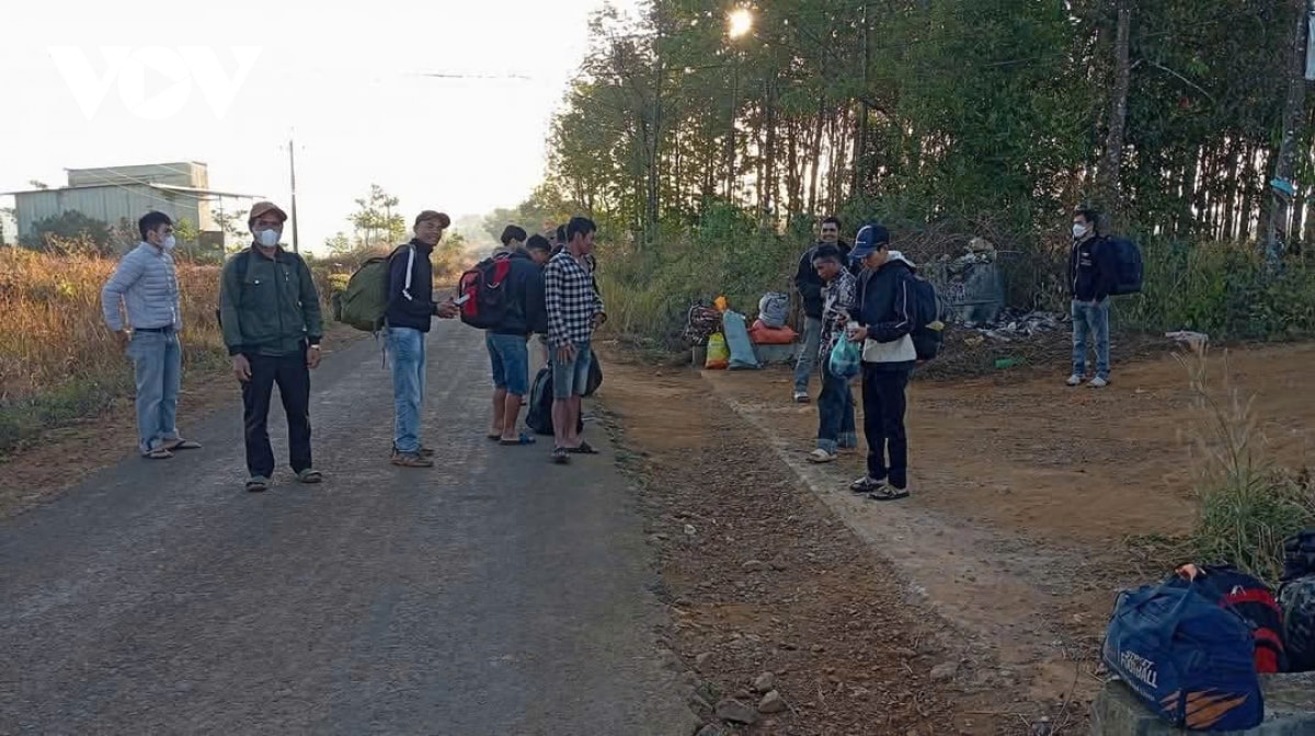 mo hoi, nu cuoi trong mua ca phe ky luc o tay nguyen hinh anh 1