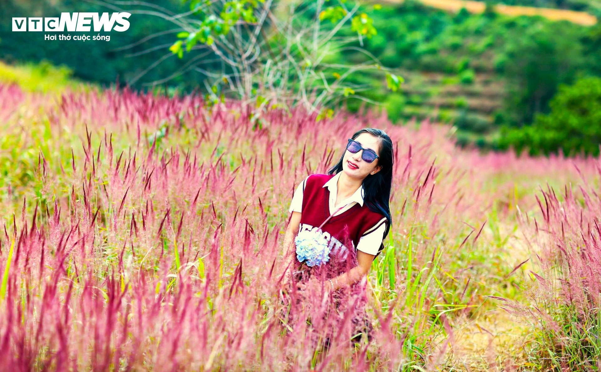 Dù khi bình minh hay hoàng hôn, cỏ đuôi chồn hồng đều ánh lên màu hồng pha với nắng vàng cam tạo nên phông nền tự nhiên cho những bức ảnh kỷ niệm đáng nhớ.