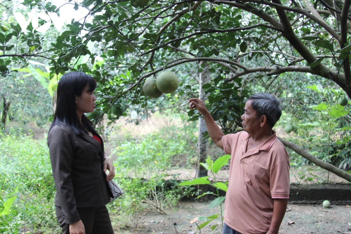 gia lang tuyen truyen dong bao dan toc thieu so giu dat, lam giau hinh anh 1