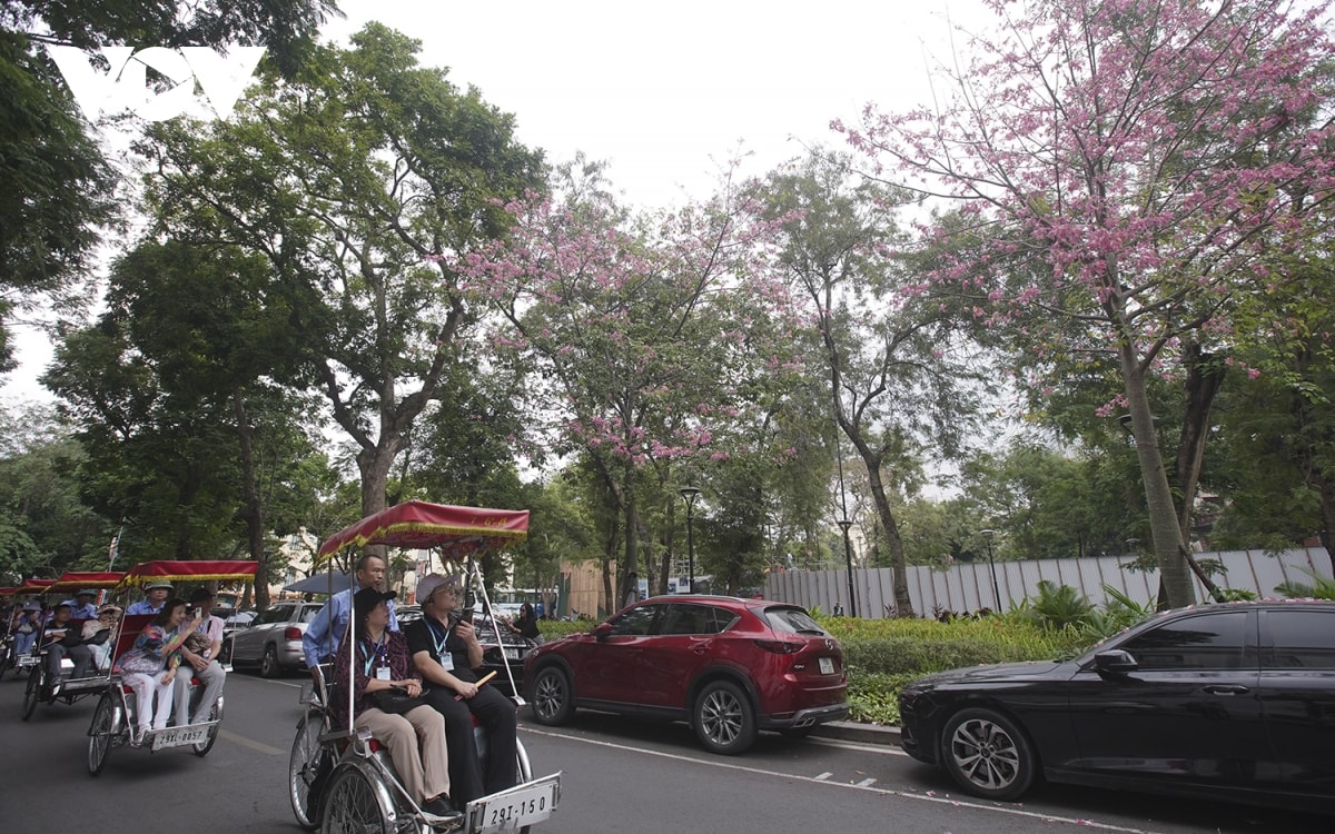 ngam hoa hong my nhan khoe sac giua long ha noi hinh anh 10