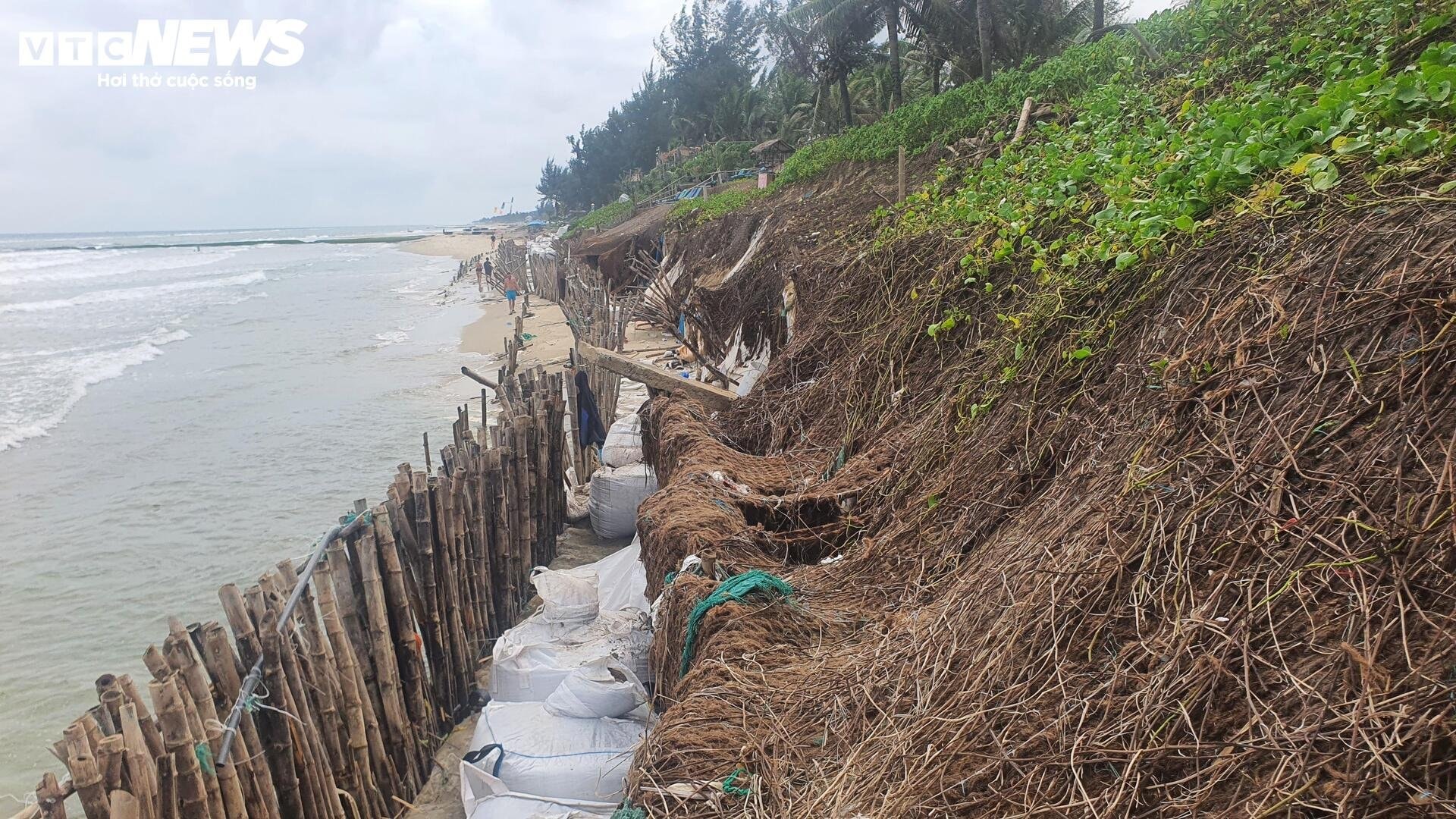  Sóng công phá loạt bờ biển ở Quảng Nam, dân nơm nớp lo sợ - 9