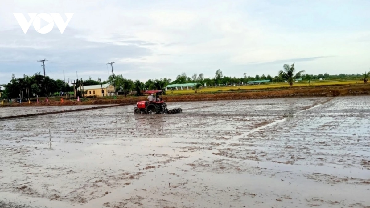 thủ tướng chỉ đạo chủ động phòng, chống hạn hán, thiếu nước, xâm nhập mặn hình ảnh 1 thu tuong chi dao chu dong phong, chong han han, thieu nuoc, xam nhap man hinh anh 1