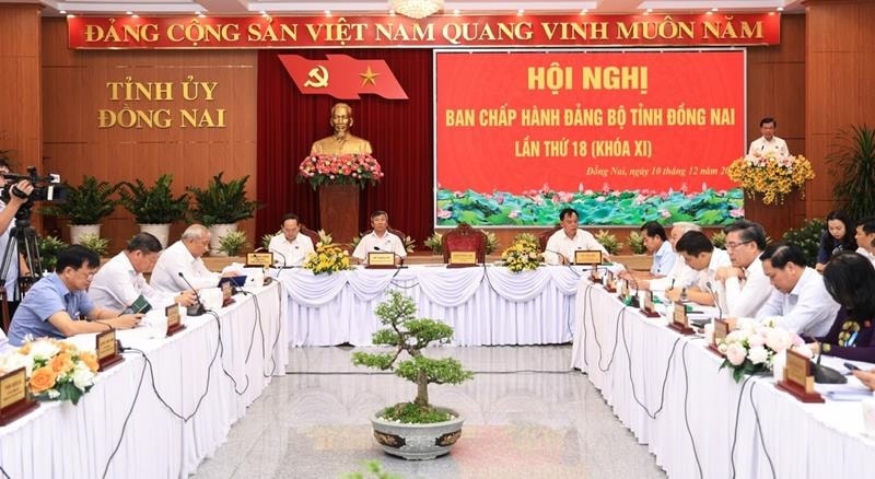 473 dang vien tai Dong nai bi ky luat trong nam 2024 hinh anh 1