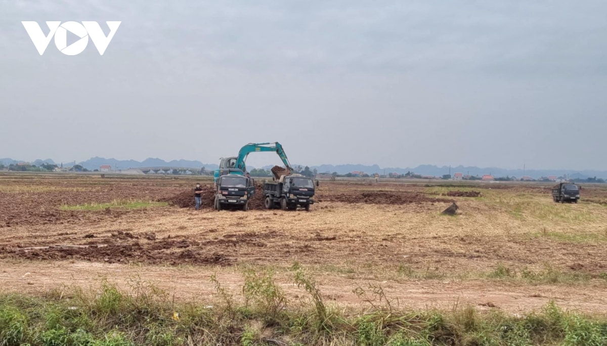 nhuc nhoi nan muc dat mat ruong di ban o kim son, ninh binh hinh anh 2