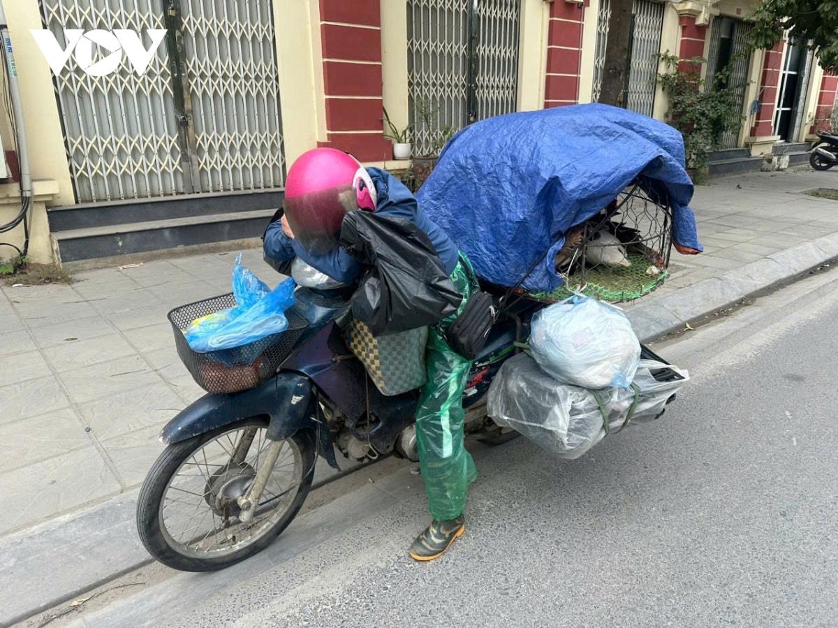 nguoi lao dong co ro muu sinh giua gia ret tren duong pho ha noi hinh anh 10