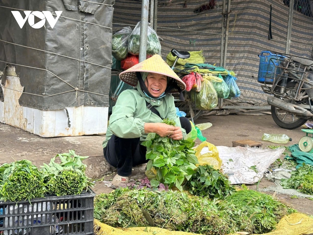 nguoi lao dong co ro muu sinh giua gia ret tren duong pho ha noi hinh anh 7