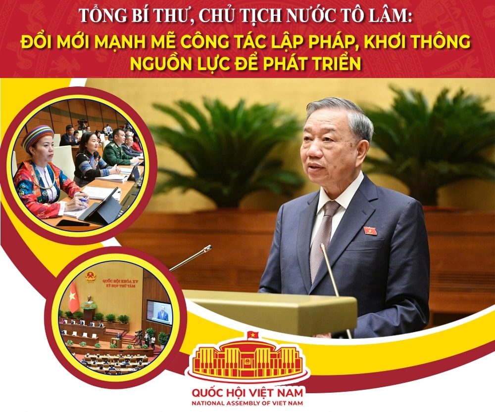 10 su kien, hoat dong tieu bieu cua quoc hoi viet nam nam 2024 hinh anh 2