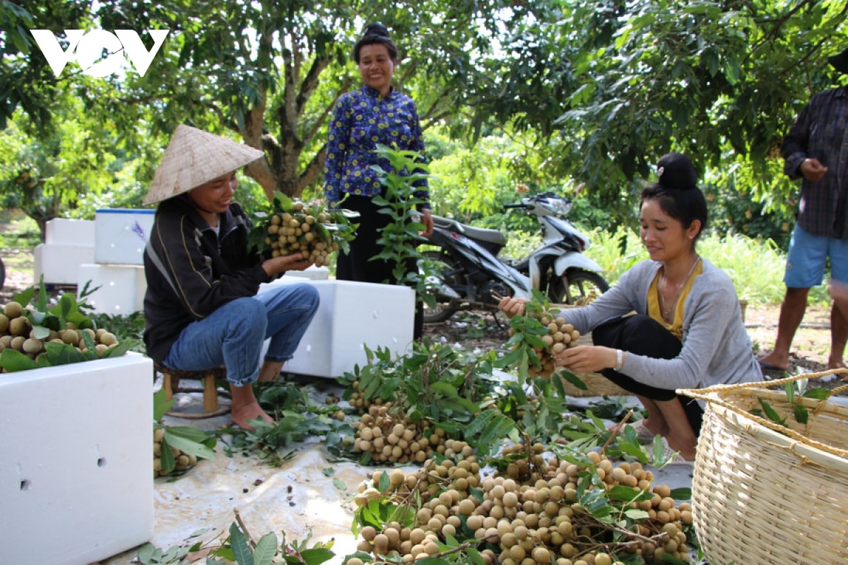 tay bac quyet liet xoa ngheo de vuon minh phat trien hinh anh 7