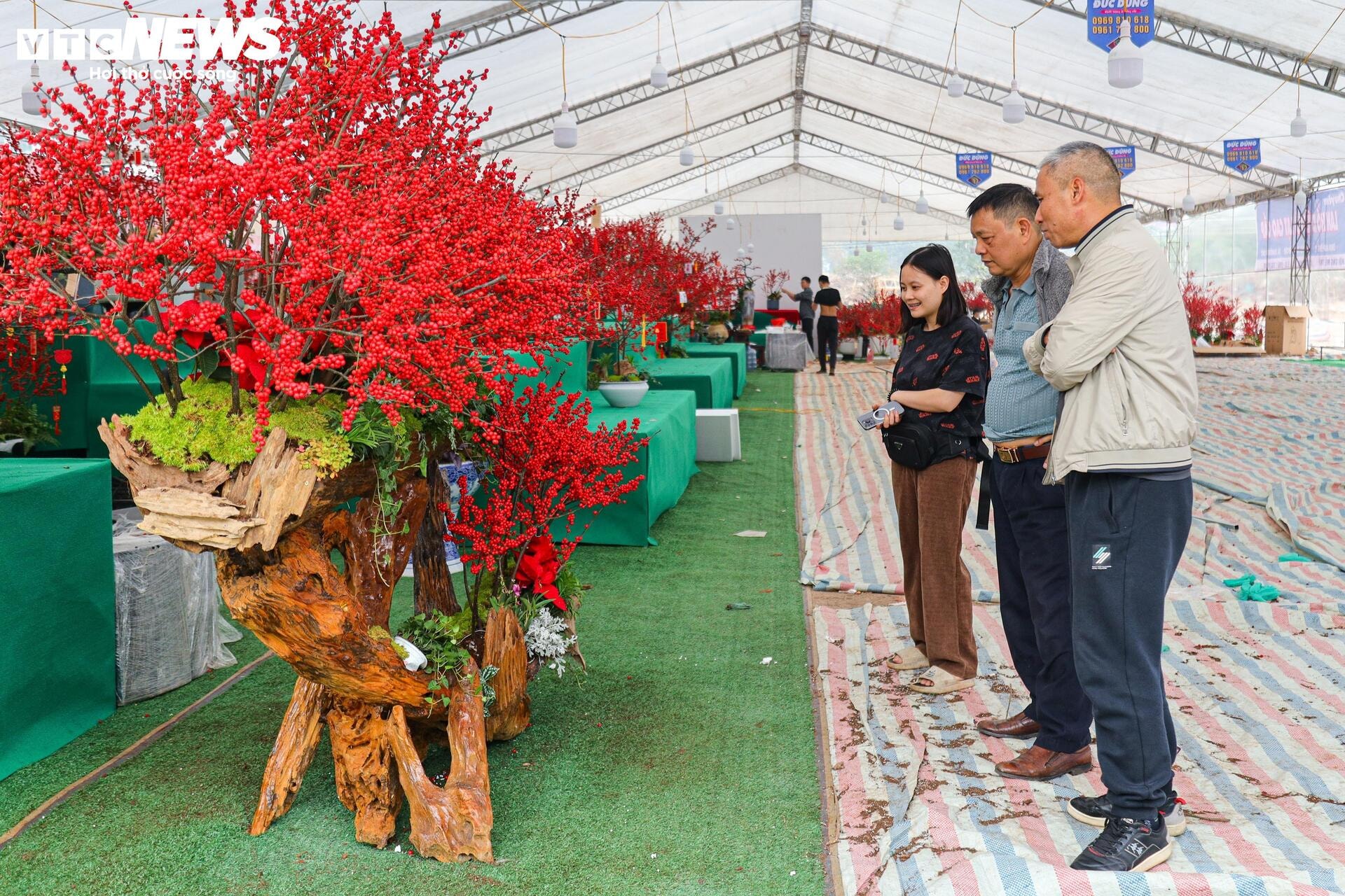 Hoa nhập độc lạ giá trăm triệu đồng, thú chơi Tết mới của nhà giàu Hà Nội - 21