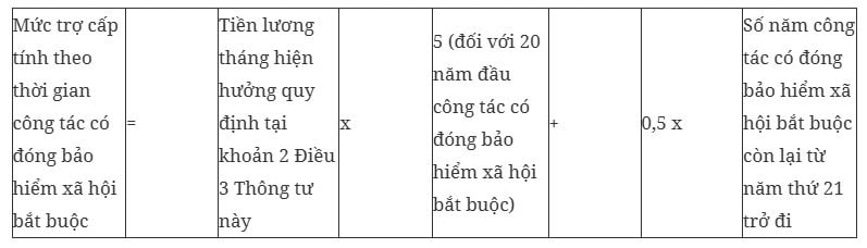 Da co thong tu huong dan thuc hien che do voi voi lao dong thuc hien tinh gian hinh anh 3