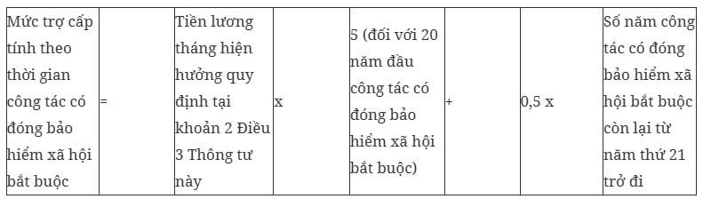 Da co thong tu huong dan thuc hien che do voi voi lao dong thuc hien tinh gian hinh anh 5