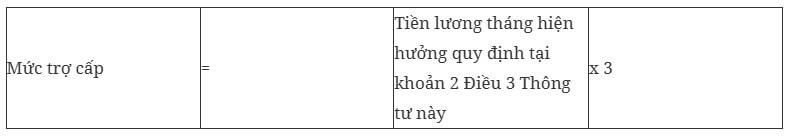 Da co thong tu huong dan thuc hien che do voi voi lao dong thuc hien tinh gian hinh anh 7