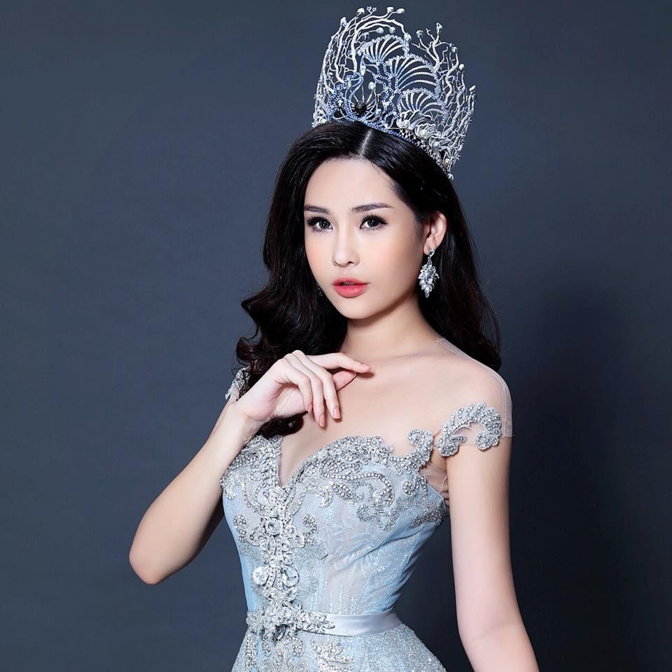 Lê Âu Ngân Anh đăng quang Hoa hậu Đại dương 2017. Sau đó, cô tham gia cuộc thi Miss Intercontinental 2018 (Hoa hậu Liên lục địa) và đoạt giải Á hậu 4. Trong quá trình tham gia các sân chơi nhan sắc, cô thường nhận phải những ý kiến trái chiều về vẻ ngoài. Tuy nhiên, Lê Âu Ngân Anh lại được nhiều người yêu mến vì sự ham học.