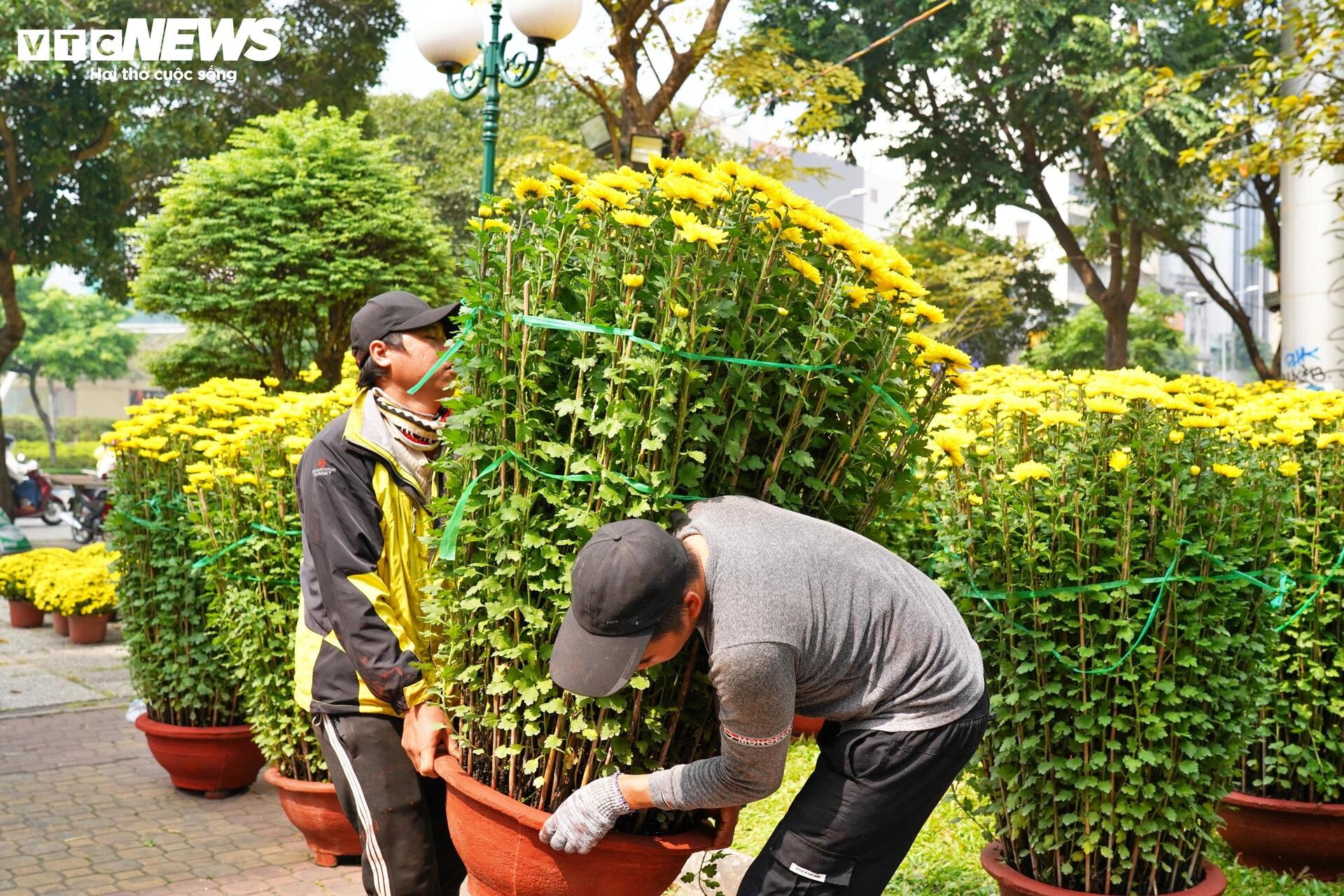 Công viên trung tâm TP.HCM tràn ngập hoa Tết, giá từ vài trăm nghìn đồng - 6