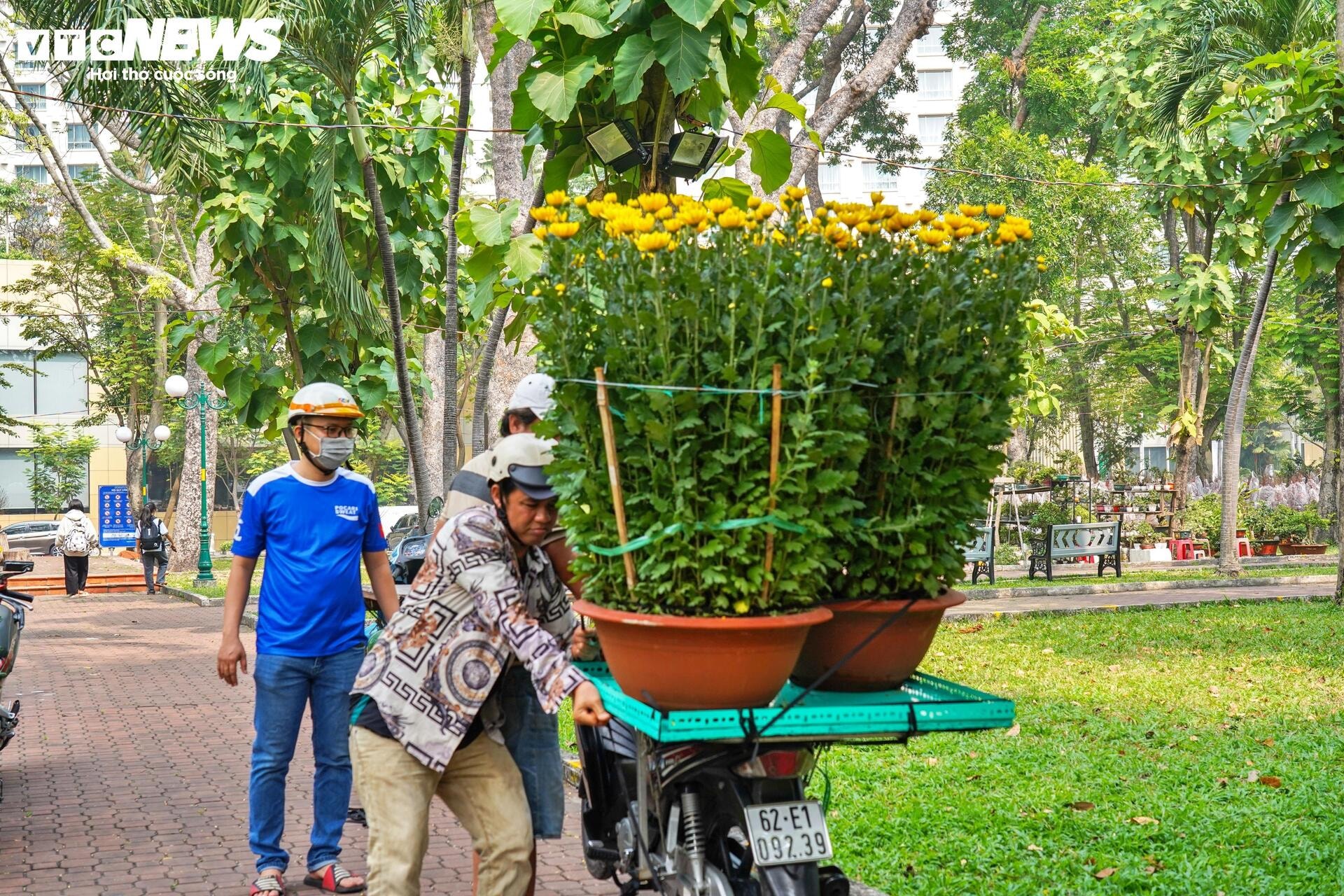 Công viên trung tâm TP.HCM tràn ngập hoa Tết, giá từ vài trăm nghìn đồng - 4