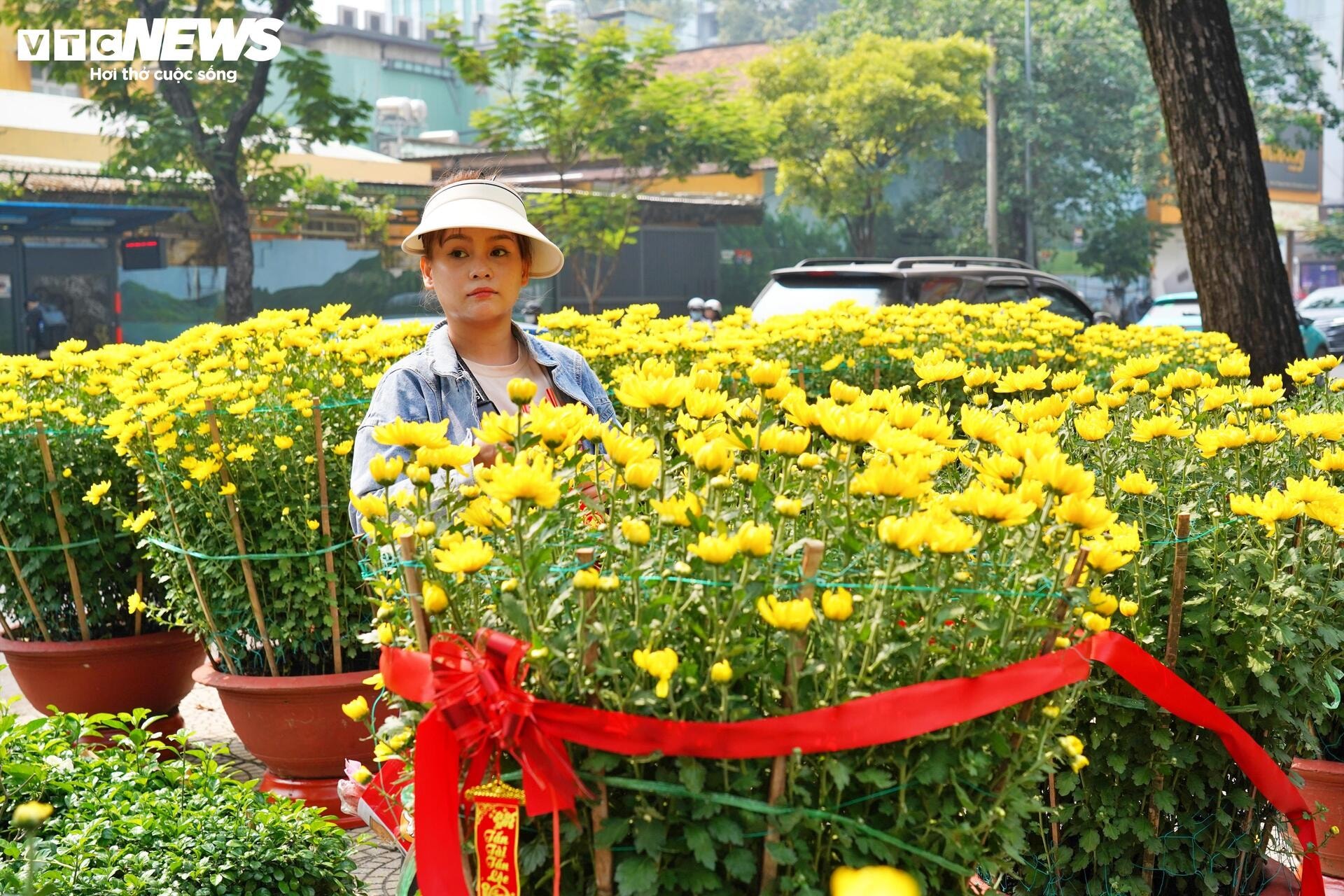 Công viên trung tâm TP.HCM tràn ngập hoa Tết, giá từ vài trăm nghìn đồng - 3