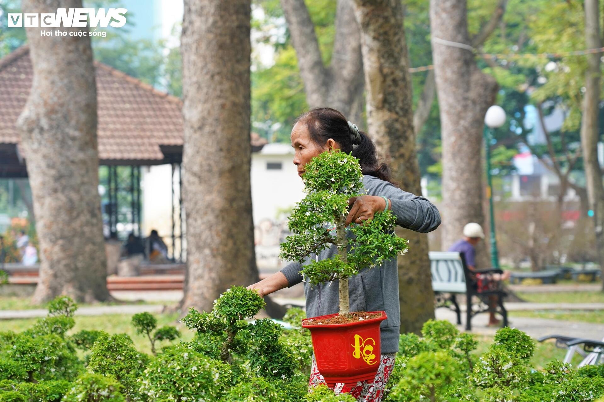 Công viên trung tâm TP.HCM tràn ngập hoa Tết, giá từ vài trăm nghìn đồng - 15