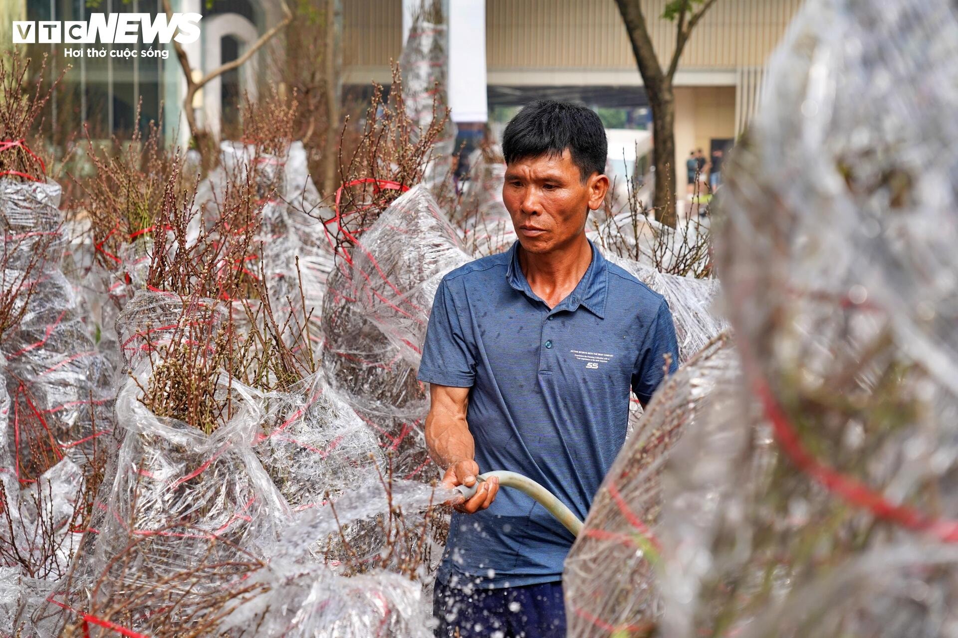 Công viên trung tâm TP.HCM tràn ngập hoa Tết, giá từ vài trăm nghìn đồng - 14