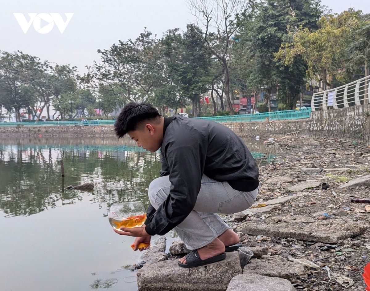 giam han tinh trang xa tui nilon bua bai sau khi phong sinh ngay ong cong, ong tao hinh anh 1