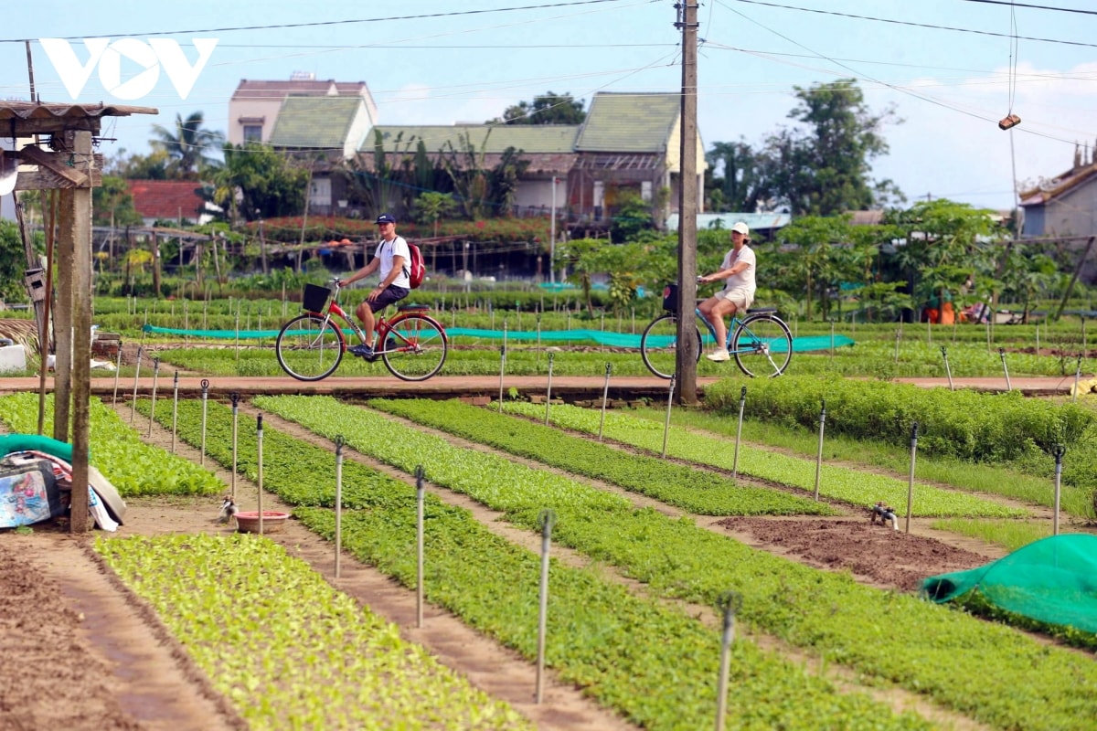 du lich sinh thai huong phat trien ben vung cua do thi co hoi an hinh anh 5