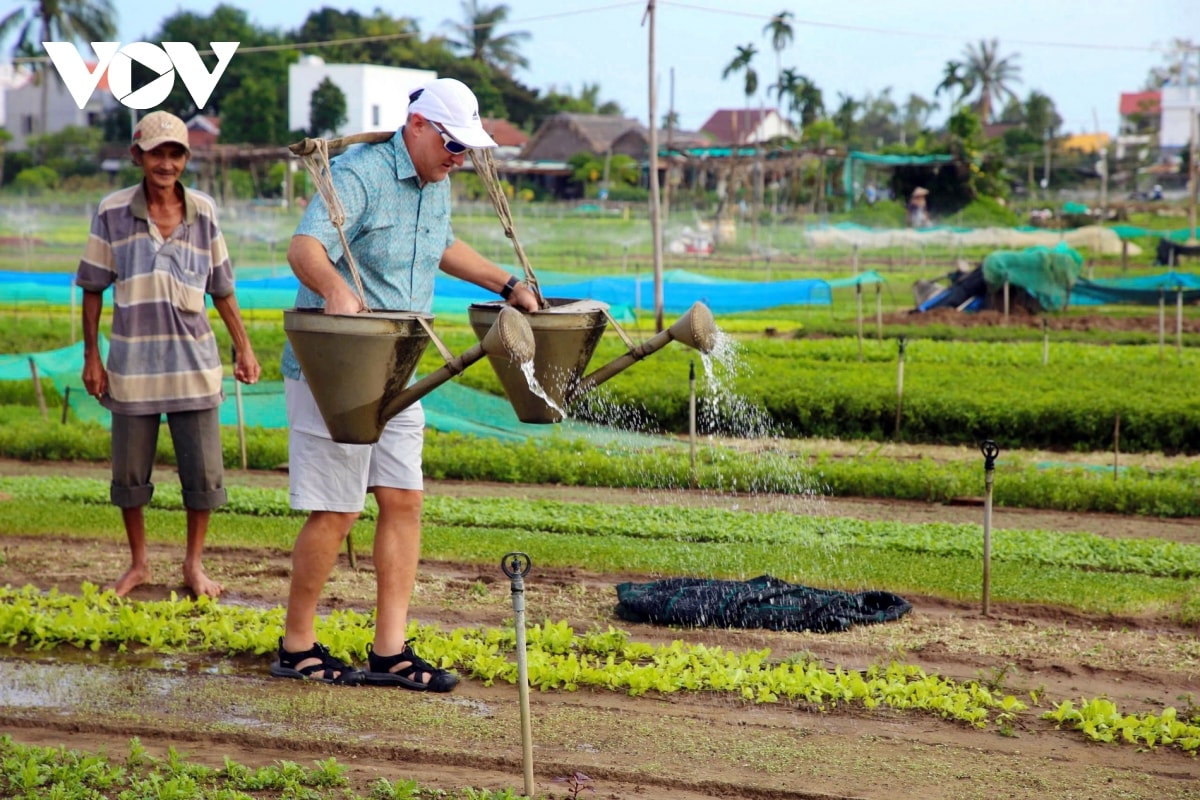 du lịch sinh thái hướng phát triển bền vững của đô thị cổ hội an hình ảnh 2 du lich sinh thai huong phat trien ben vung cua do thi co hoi an hinh anh 2