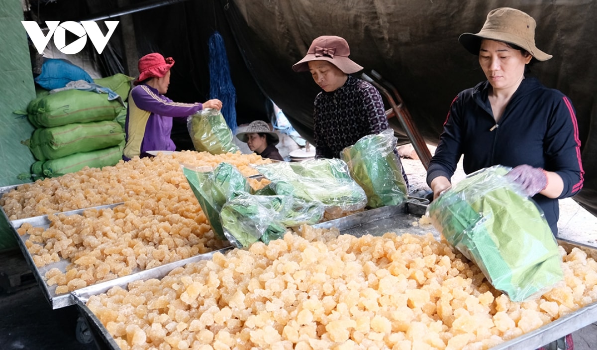 lo nau duong phen truyen thong quang ngai do lua dip tet hinh anh 8