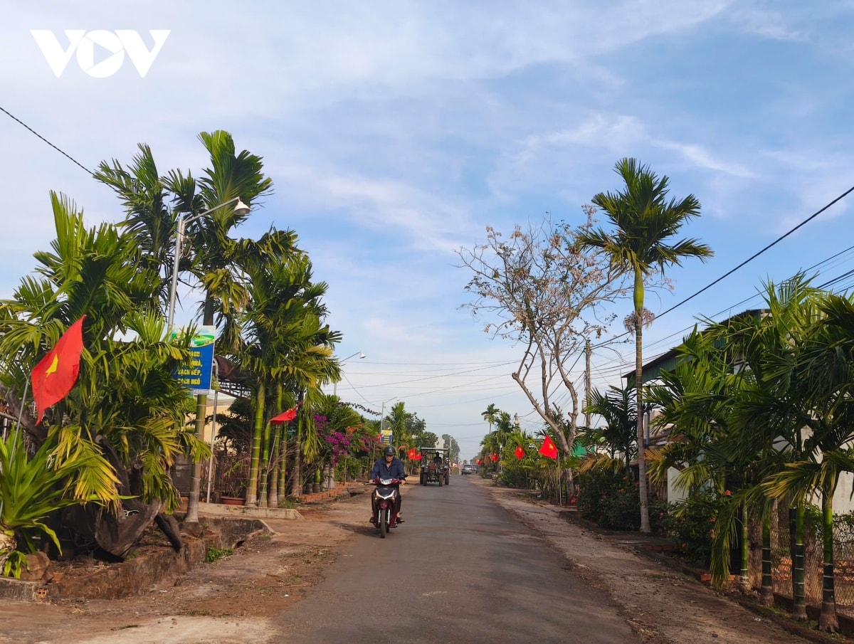 rực rỡ đường cờ tổ quốc ở cư mgar, Đắk lắk hình ảnh 1 ruc ro duong co to quoc o cu mgar, Dak lak hinh anh 1