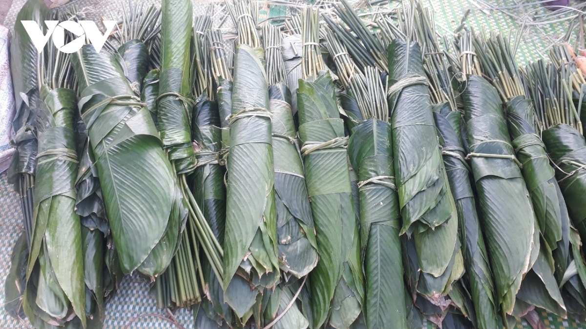 hương sắc ngày tết từ chiếc bánh chưng của người thái hình ảnh 2 huong sac ngay tet tu chiec banh chung cua nguoi thai hinh anh 2
