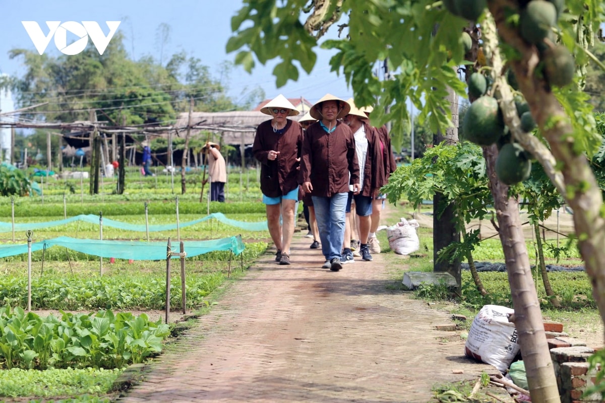 dong nguoi do ve pho co hoi an nhung ngay dau nam moi hinh anh 9