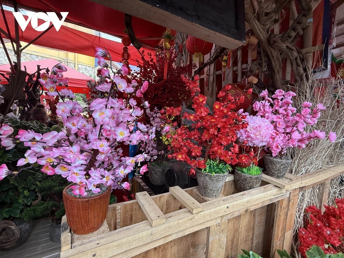Tết ở Indonesia: Chậu quất nhập khẩu để bàn giá hàng triệu đồng hút khách - ảnh 6