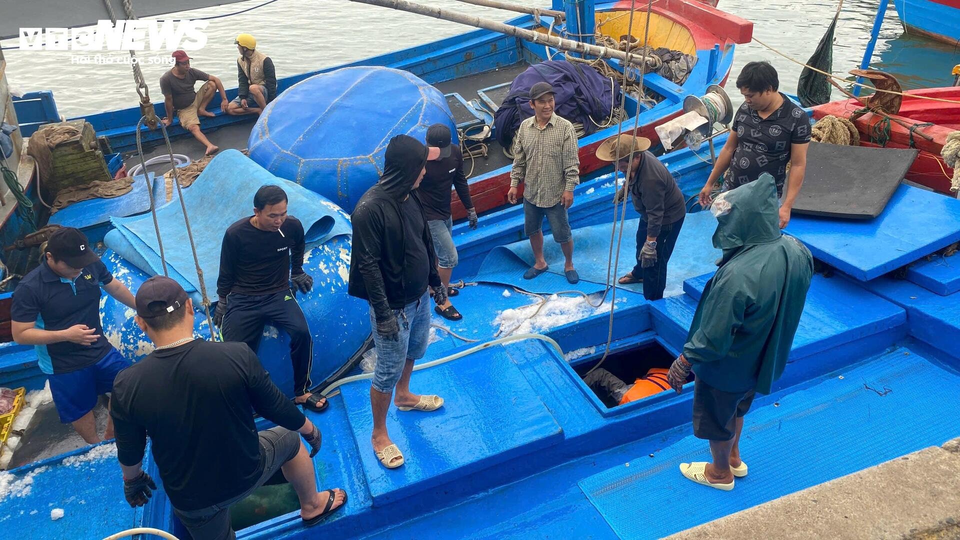 Chuyến biển đầu năm bội thu, ngư dân Phú Yên 'oằn vai' cõng cá ngừ đại dương - 1