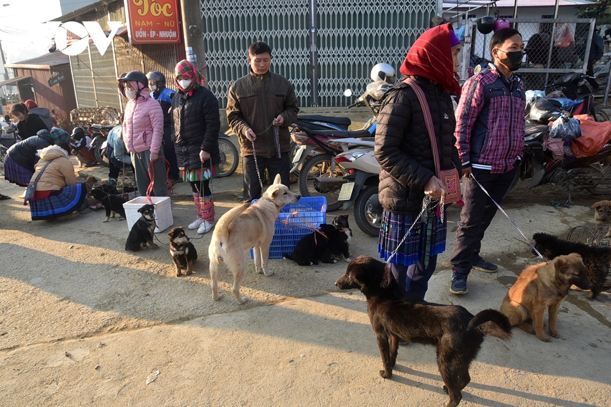 Doc dao cho cho livestream o cho phien vung cao bac ha hinh anh 14