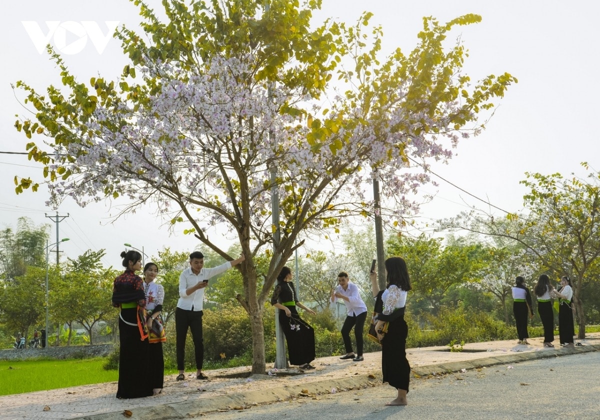 thu hut du khach den le hoi hoa ban Dien bien 2025 hinh anh 1