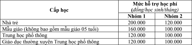 tp.hcm mien hoc phi cho tre mam non den lop 12 hinh anh 1