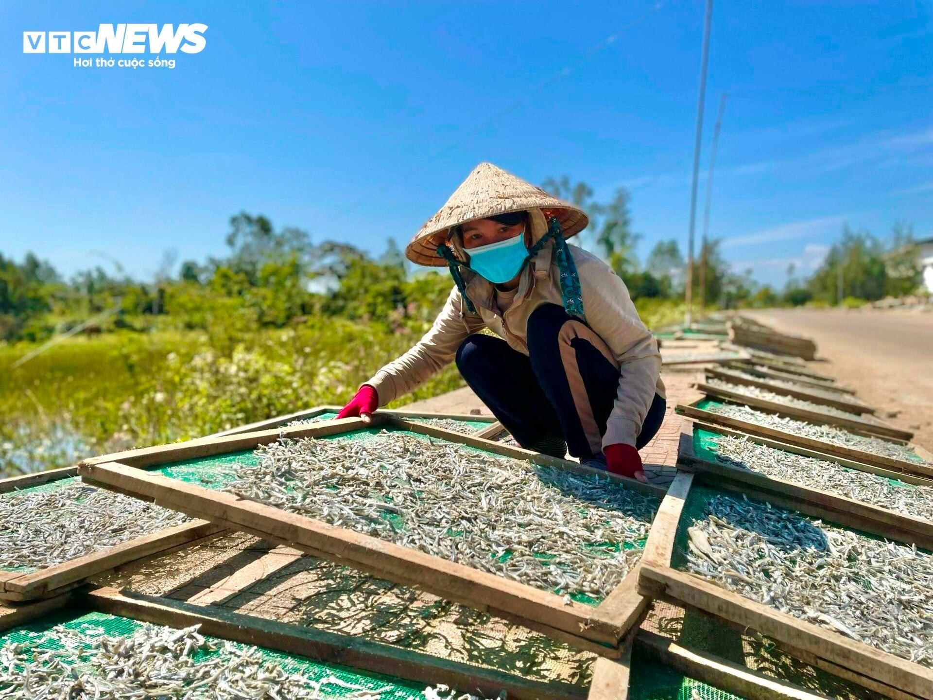 Ngư dân Quảng Ngãi trúng đậm cá cơm, nghề hấp cá tất bật vào vụ - 9