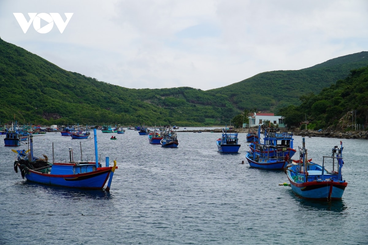 lang chai tren vinh nha trang phan dau don 45.000 khach du lich moi nam hinh anh 1