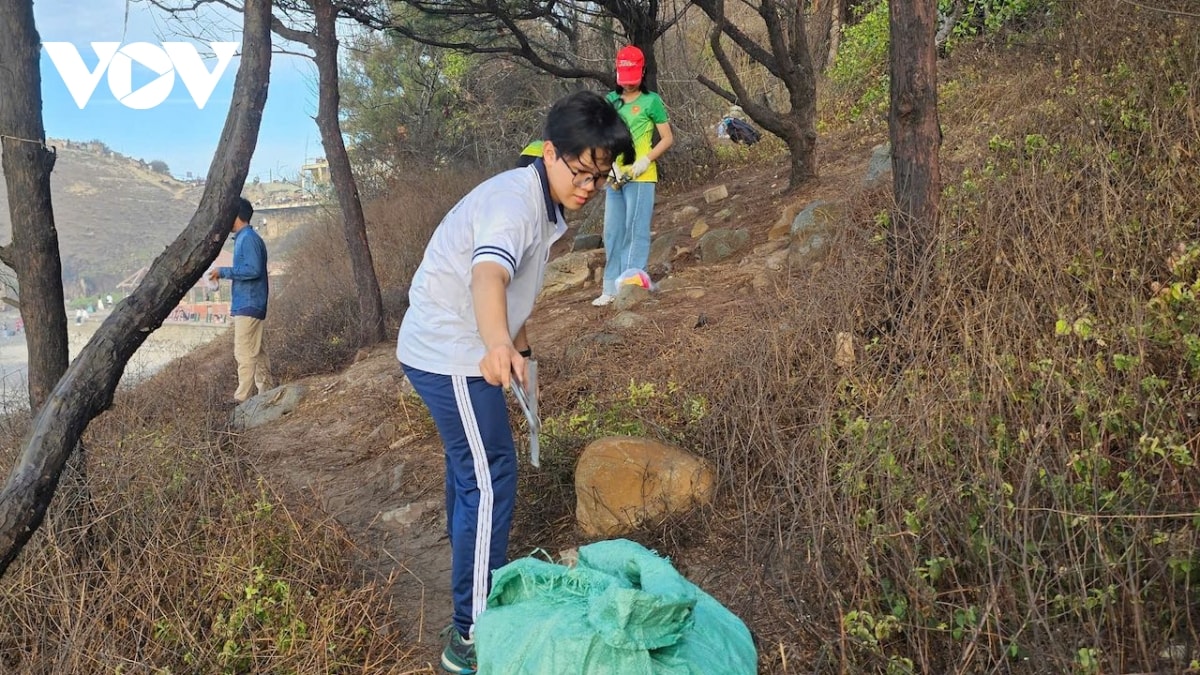 hon 80 tinh nguyen vien tham gia lam sach mui nghinh phong, vung tau hinh anh 5