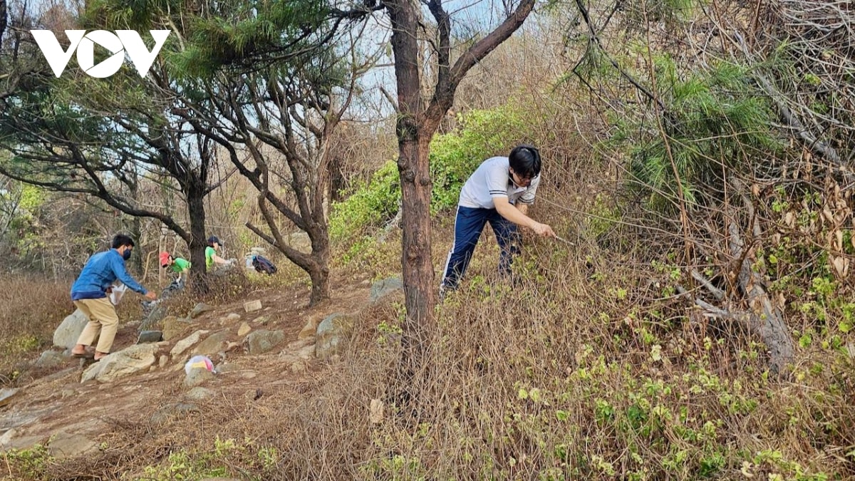 hon 80 tinh nguyen vien tham gia lam sach mui nghinh phong, vung tau hinh anh 4