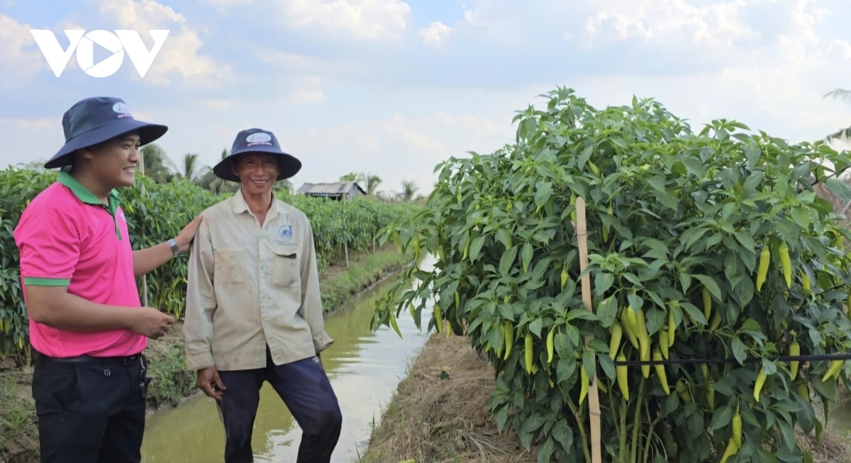 nuoc man tang dot bien, dong nhieu cong ngan man khan cap o tien giang hinh anh 4