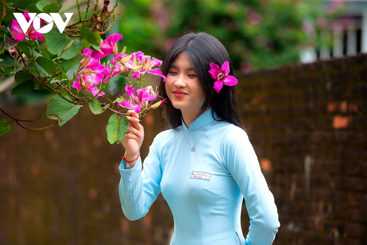 hoa ban hoang hau ruc ro khoe sac tren pho phuong Da nang hinh anh 11