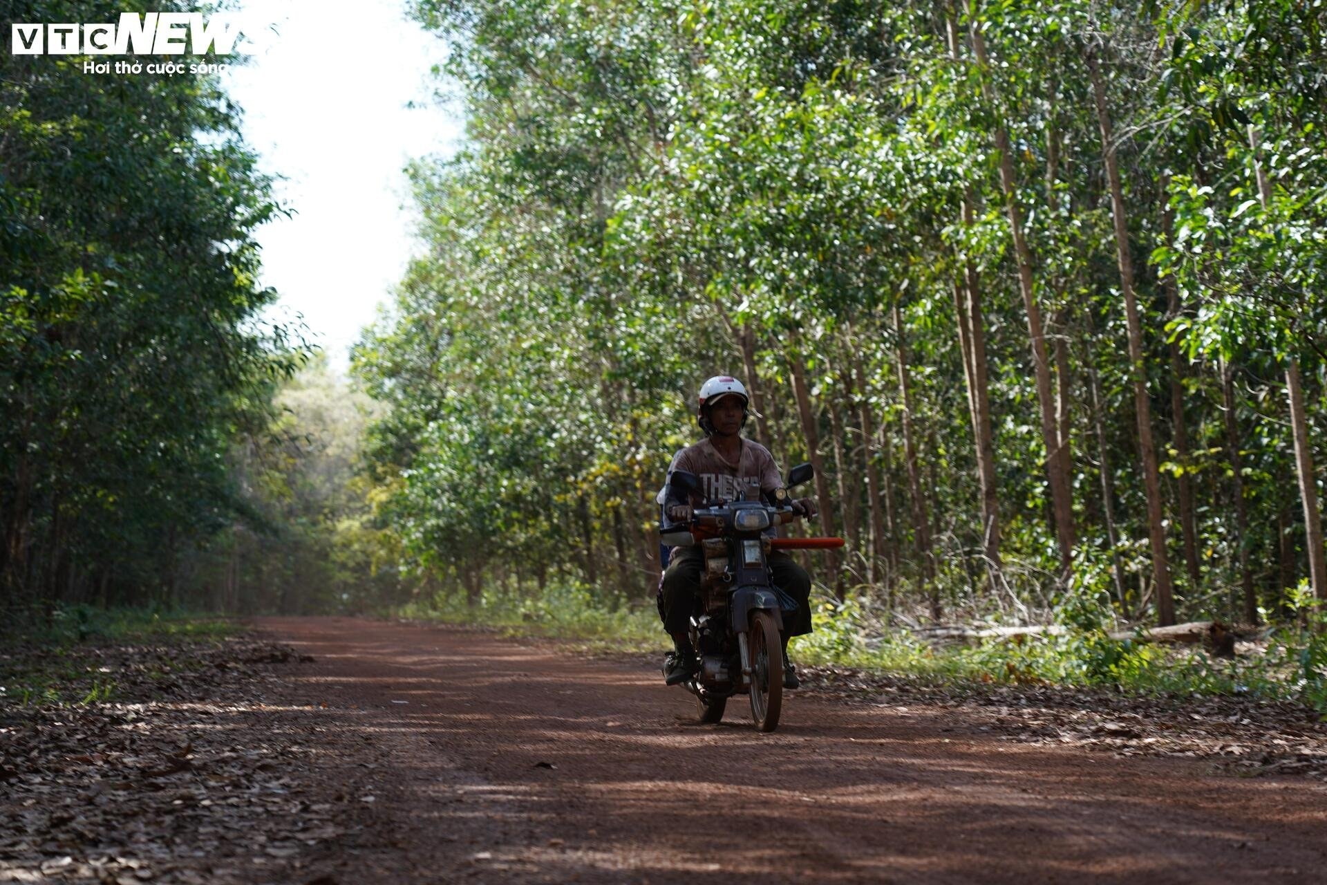 Tuyến đường độc đạo xuyên rừng nối Bình Phước và Đồng Nai - 12