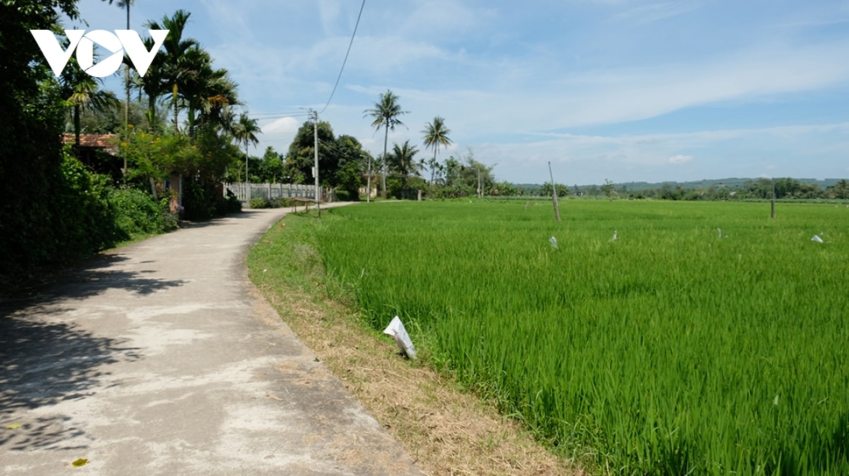 lam du lich cong dong lan toa uoc vong hoa binh hinh anh 2