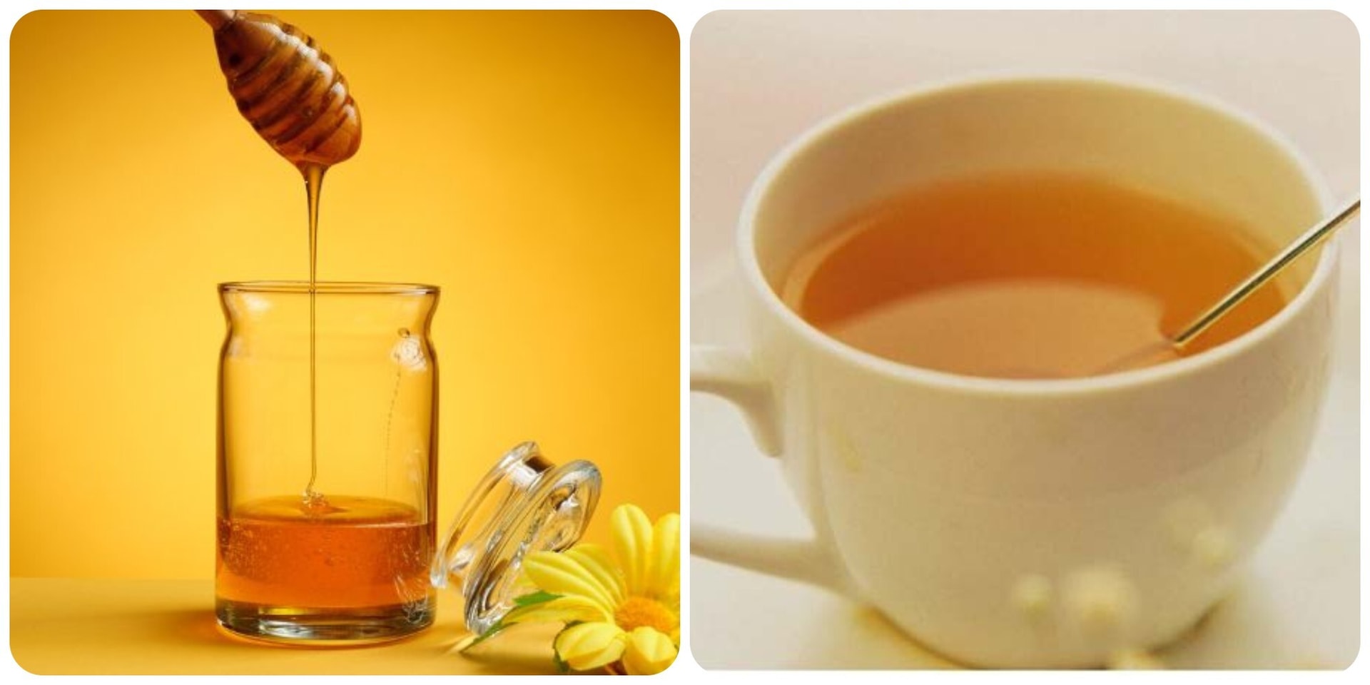 Uống nước mật ong ấm mỗi sáng rất tốt cho sức khoẻ