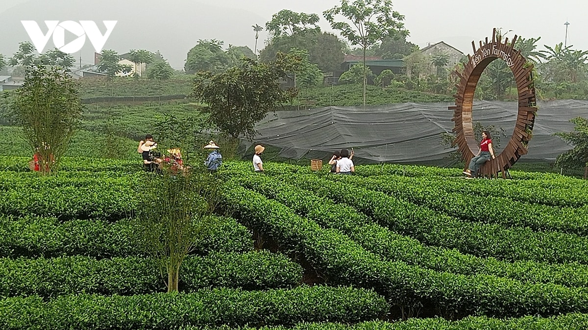 Da dang san pham du lich voi chu de trai nghiem xu tra dam da ban sac hinh anh 5