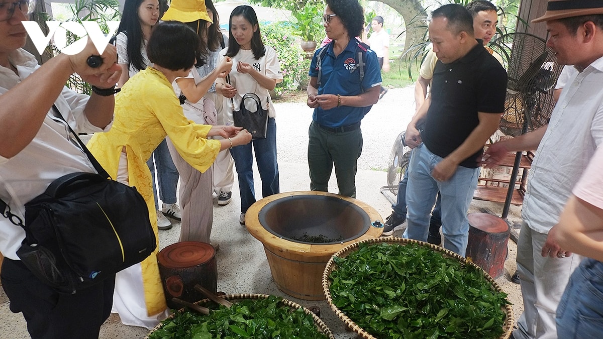 Da dang san pham du lich voi chu de trai nghiem xu tra dam da ban sac hinh anh 7
