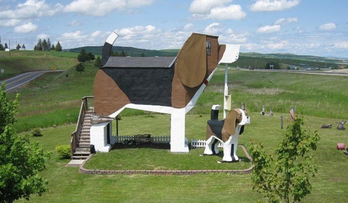 Khách sạn The Dog Bark Park Inn có hình dáng chú chó săn khổng lồ. (Ảnh: CNN)