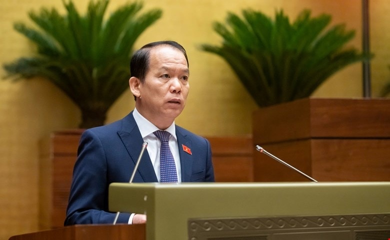 Đề xuất lập tòa phá sản, tòa sở hữu trí tuệ ở một số thành phố lớn hình ảnh 2 De xuat lap toa pha san, toa so huu tri tue o mot so thanh pho lon hinh anh 2