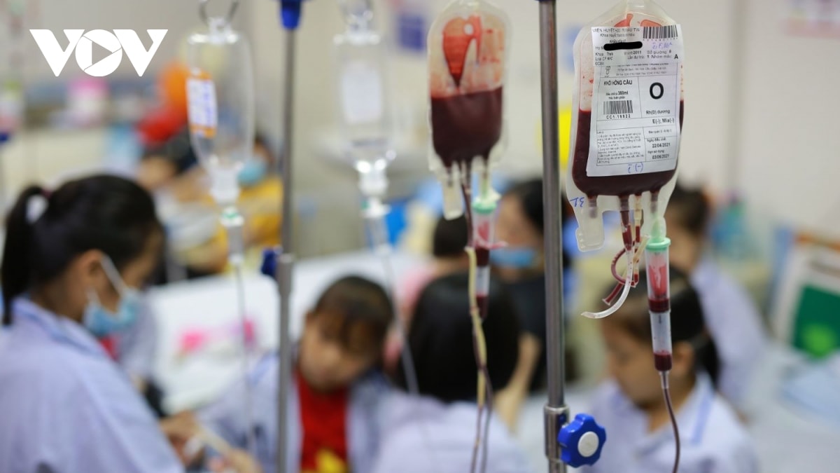 lắng nghe người trong cuộc để thế hệ sau không bị bệnh thalassemia hình ảnh 1 lang nghe nguoi trong cuoc de the he sau khong bi benh thalassemia hinh anh 1